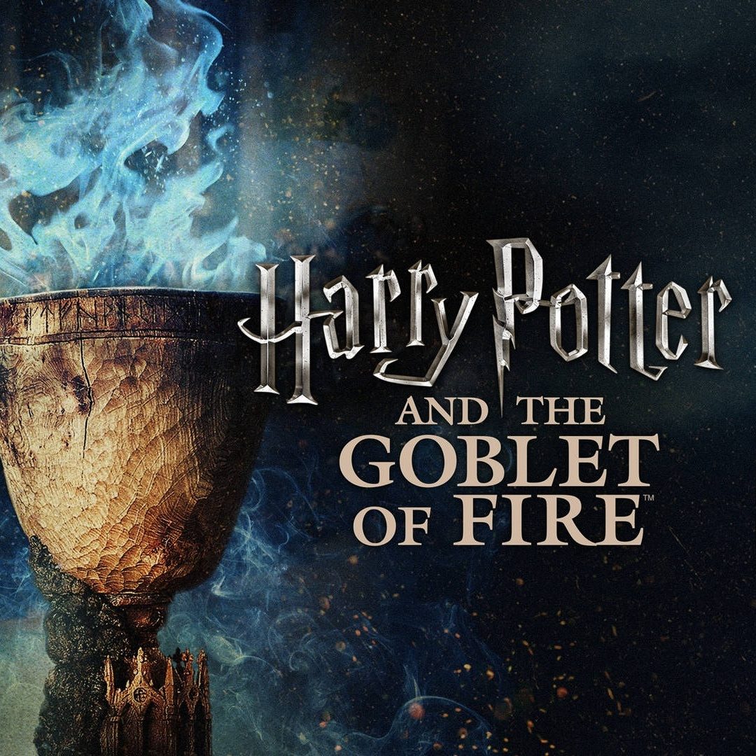 Harry Potter Goblet of Fire Word Search Challenge